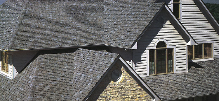 Roof Cleaning